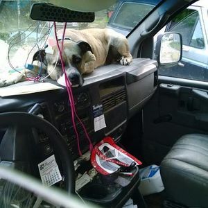 Meet your Posher, Gressett